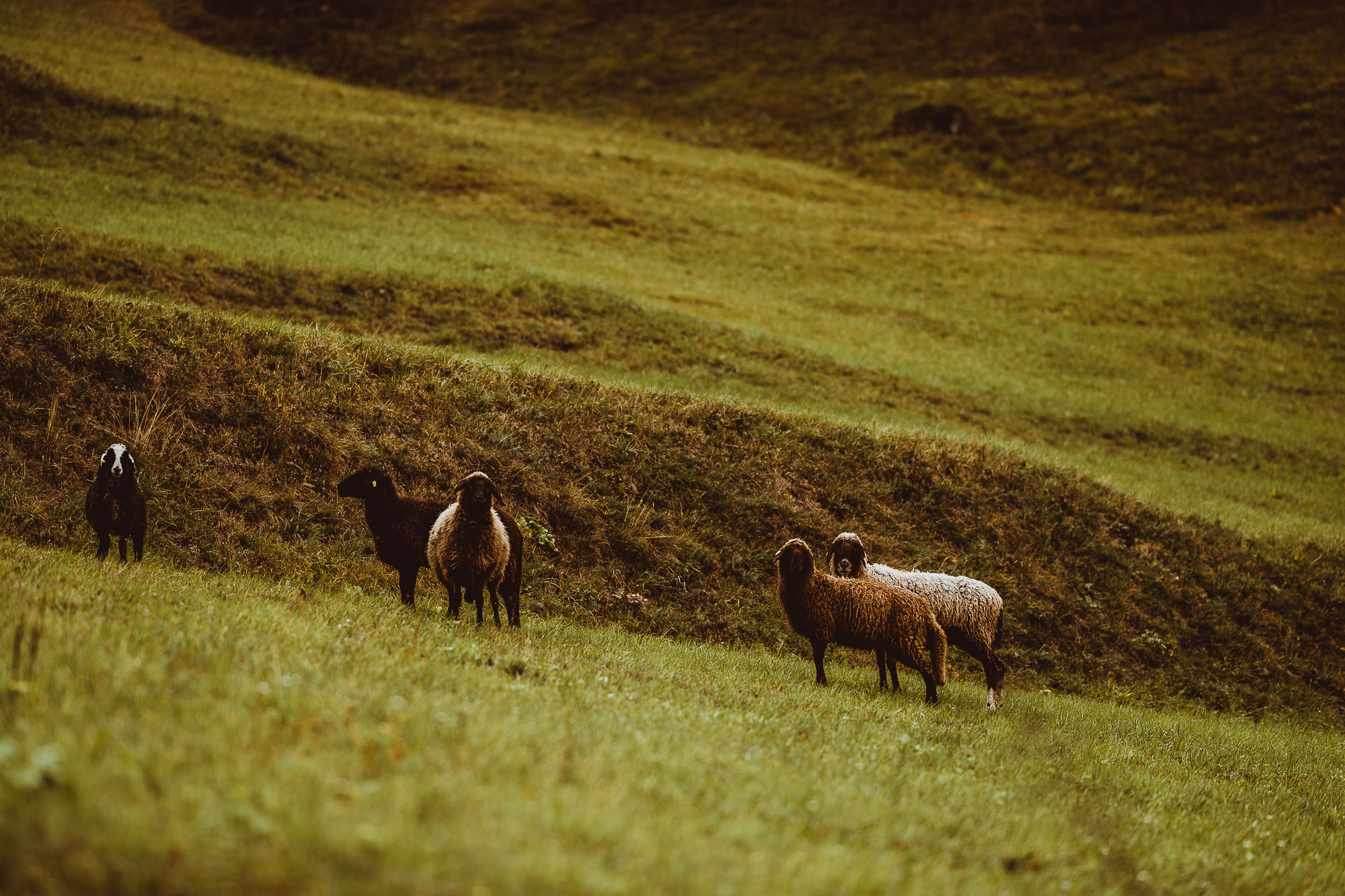 Export x3 1DX23872 Fotoshooting 2018 Annette & Mike Nauders